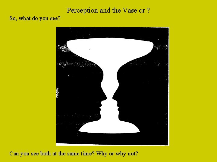 Perception and the Vase or ? So, what do you see? Can you see