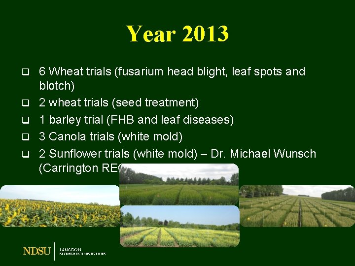 Year 2013 q q q 6 Wheat trials (fusarium head blight, leaf spots and