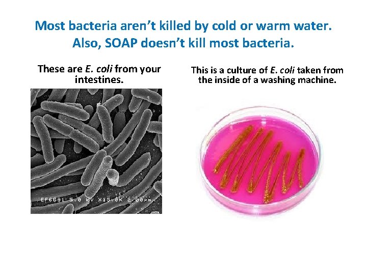 Most bacteria aren’t killed by cold or warm water. Also, SOAP doesn’t kill most