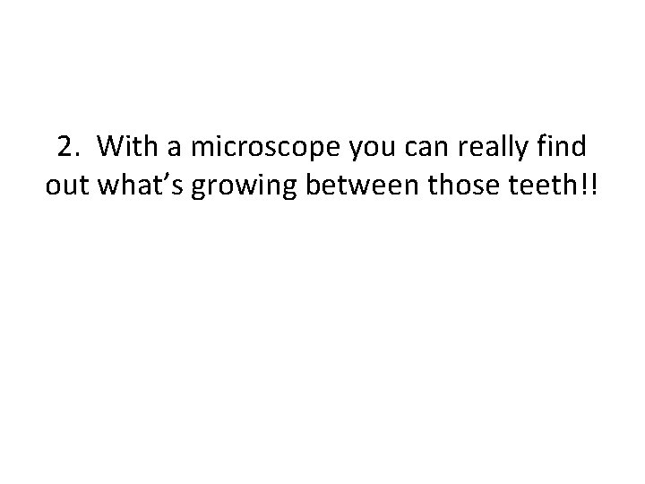 2. With a microscope you can really find out what’s growing between those teeth!!