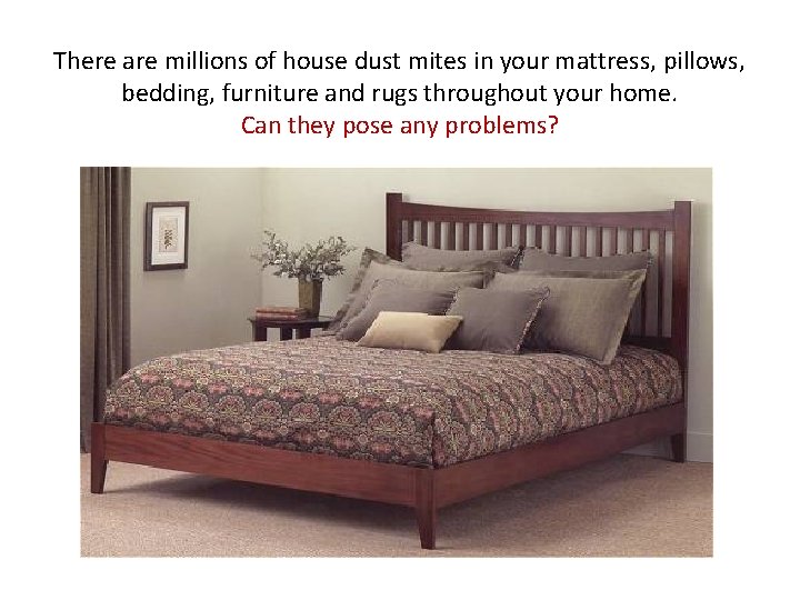 There are millions of house dust mites in your mattress, pillows, bedding, furniture and