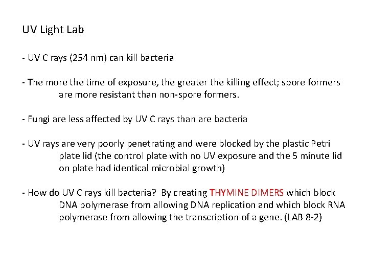 UV Light Lab - UV C rays (254 nm) can kill bacteria - The