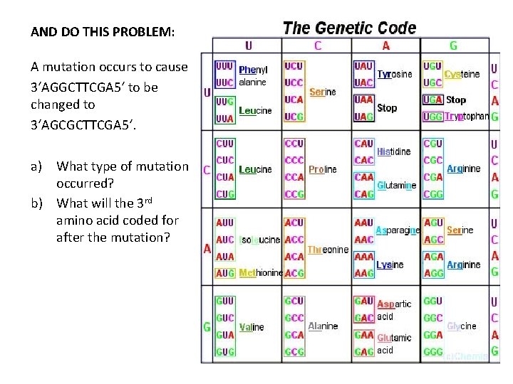 AND DO THIS PROBLEM: A mutation occurs to cause 3‘AGGCTTCGA 5‘ to be changed