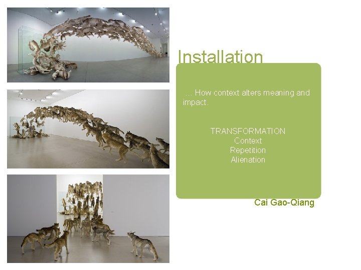 Installation … How context alters meaning and impact. TRANSFORMATION Context Repetition Alienation Cai Gao-Qiang