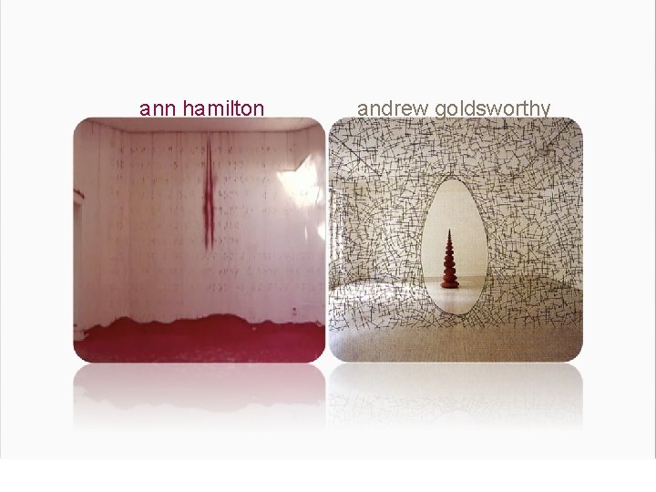 ann hamilton andrew goldsworthy 