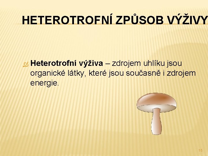 HETEROTROFNÍ ZPŮSOB VÝŽIVY Heterotrofní výživa – zdrojem uhlíku jsou organické látky, které jsou současně