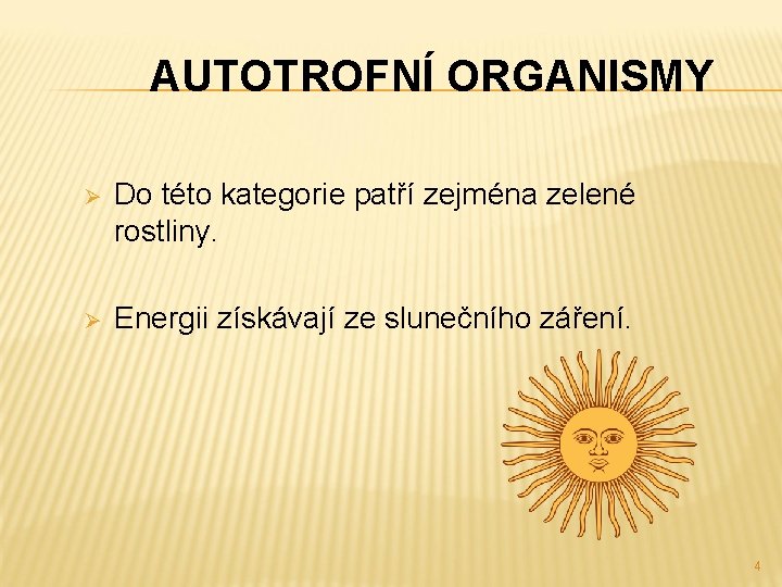 AUTOTROFNÍ ORGANISMY Ø Do této kategorie patří zejména zelené rostliny. Ø Energii získávají ze