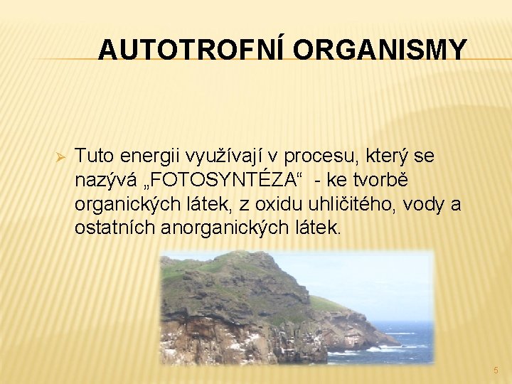 AUTOTROFNÍ ORGANISMY Ø Tuto energii využívají v procesu, který se nazývá „FOTOSYNTÉZA“ - ke