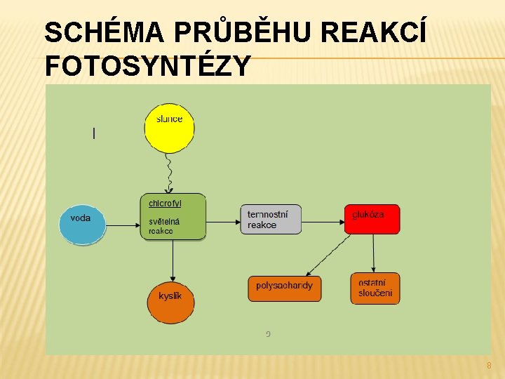 SCHÉMA PRŮBĚHU REAKCÍ FOTOSYNTÉZY 8 