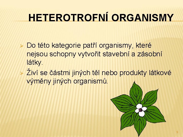 HETEROTROFNÍ ORGANISMY Ø Ø Do této kategorie patří organismy, které nejsou schopny vytvořit stavební