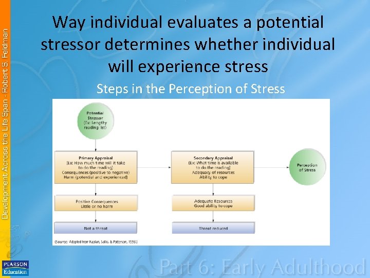 Way individual evaluates a potential stressor determines whether individual will experience stress Steps in