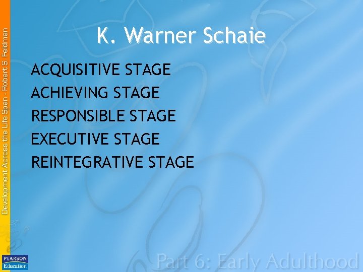 K. Warner Schaie ACQUISITIVE STAGE ACHIEVING STAGE RESPONSIBLE STAGE EXECUTIVE STAGE REINTEGRATIVE STAGE 