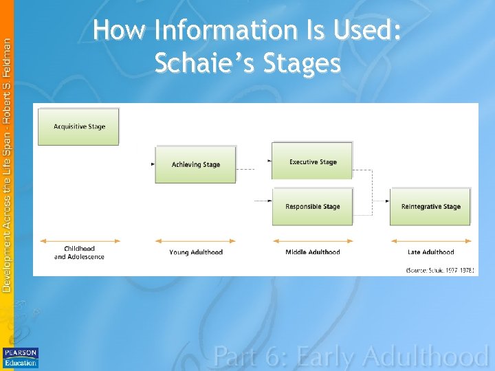 How Information Is Used: Schaie’s Stages 