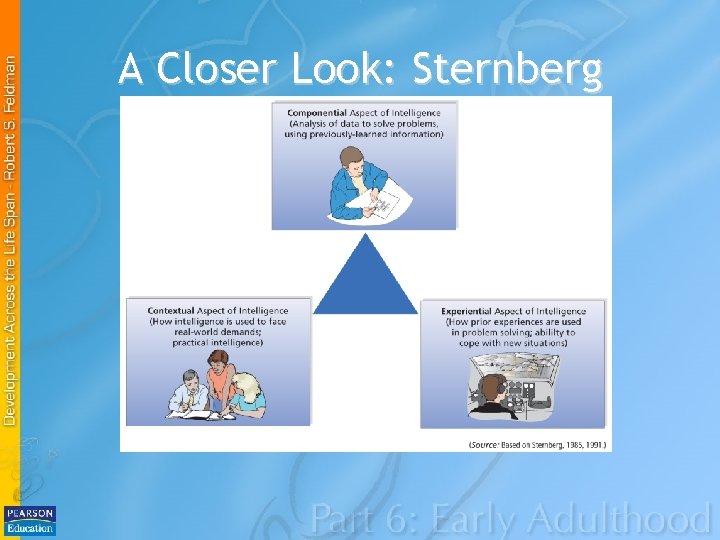 A Closer Look: Sternberg 