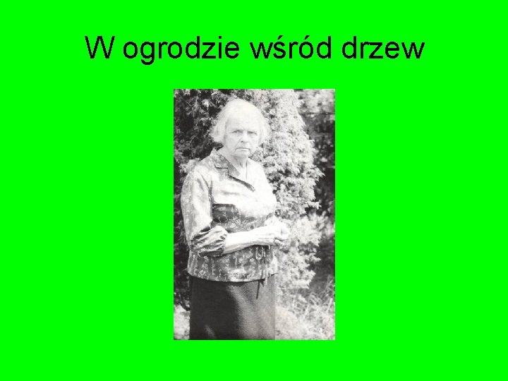 W ogrodzie wśród drzew 