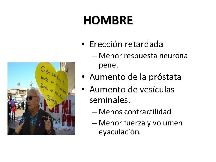 HOMBRE • Erección retardada – Menor respuesta neuronal pene. • Aumento de la próstata