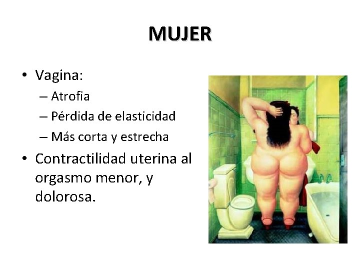 MUJER • Vagina: – Atrofia – Pérdida de elasticidad – Más corta y estrecha