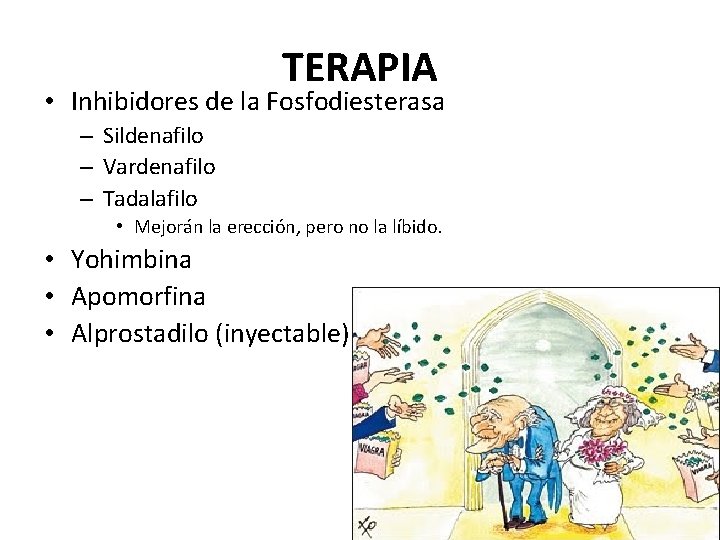 TERAPIA • Inhibidores de la Fosfodiesterasa – Sildenafilo – Vardenafilo – Tadalafilo • Mejorán