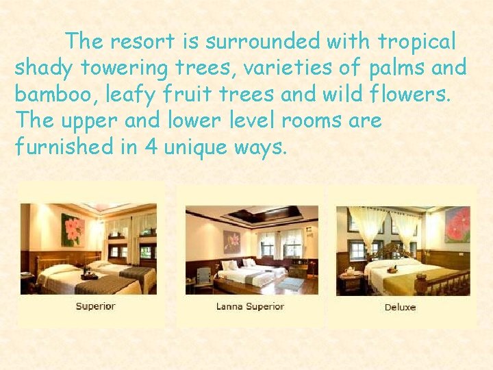 The resort is surrounded with tropical shady towering trees, varieties of palms and bamboo,
