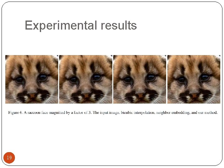 Experimental results 19 