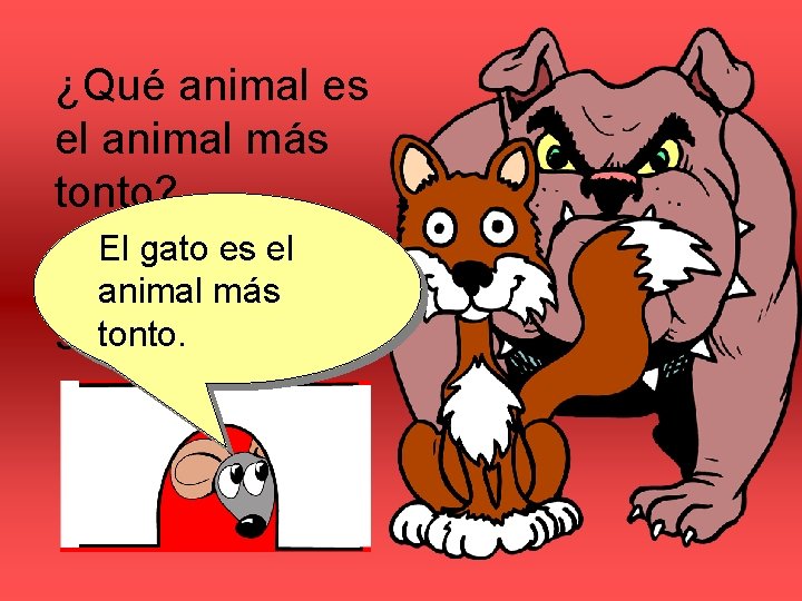 ¿Qué animal es el animal más tonto? El gato es el ¿El perro, el