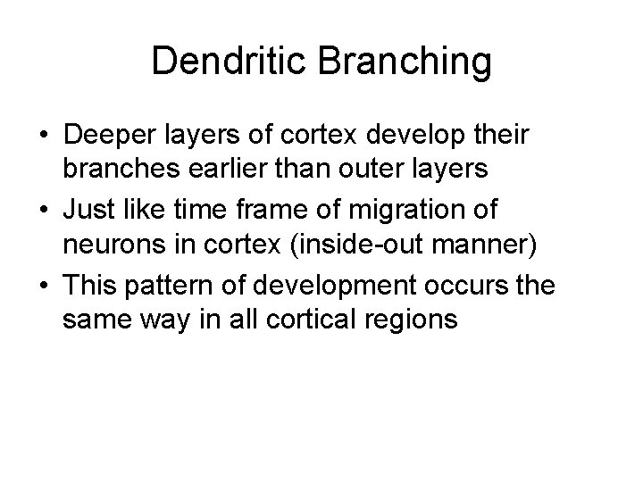 Dendritic Branching • Deeper layers of cortex develop their branches earlier than outer layers