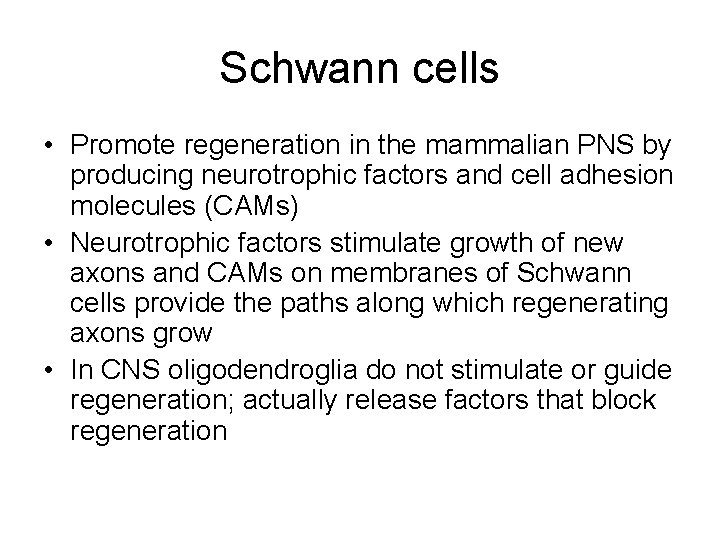 Schwann cells • Promote regeneration in the mammalian PNS by producing neurotrophic factors and