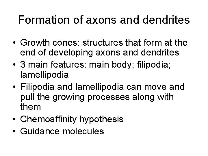 Formation of axons and dendrites • Growth cones: structures that form at the end