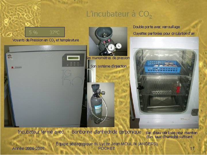 L’incubateur à CO 2 Double porte avec verrouillage 5 % 37°C Clayettes perforées pour