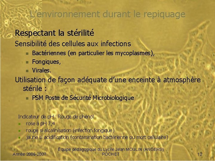 L’environnement durant le repiquage Respectant la stérilité Sensibilité des cellules aux infections n n