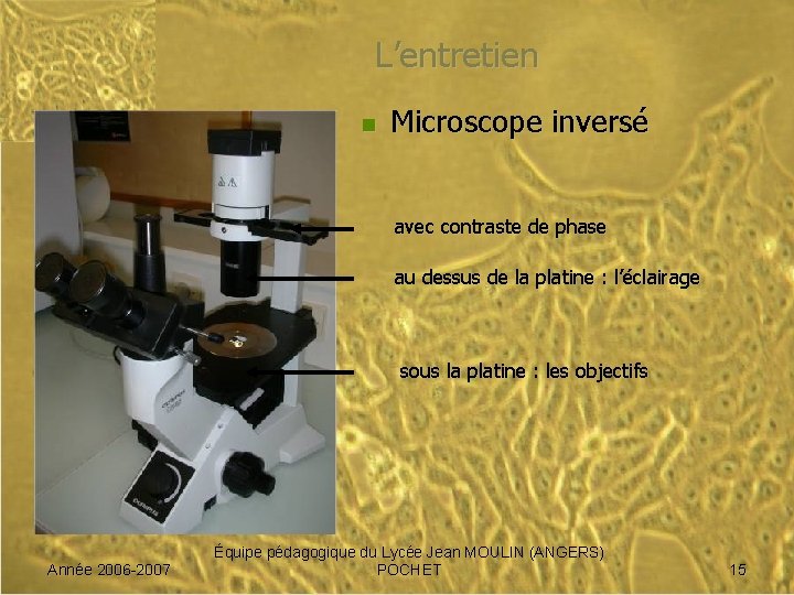 L’entretien n Microscope inversé avec contraste de phase au dessus de la platine :