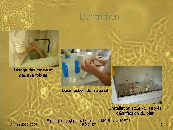 L’entretien Lavage des mains et des avant-bras Désinfection du matériel Installation sous PSM après