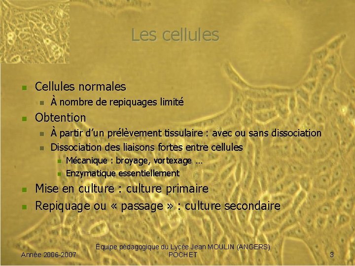 Les cellules n Cellules normales n n À nombre de repiquages limité Obtention n