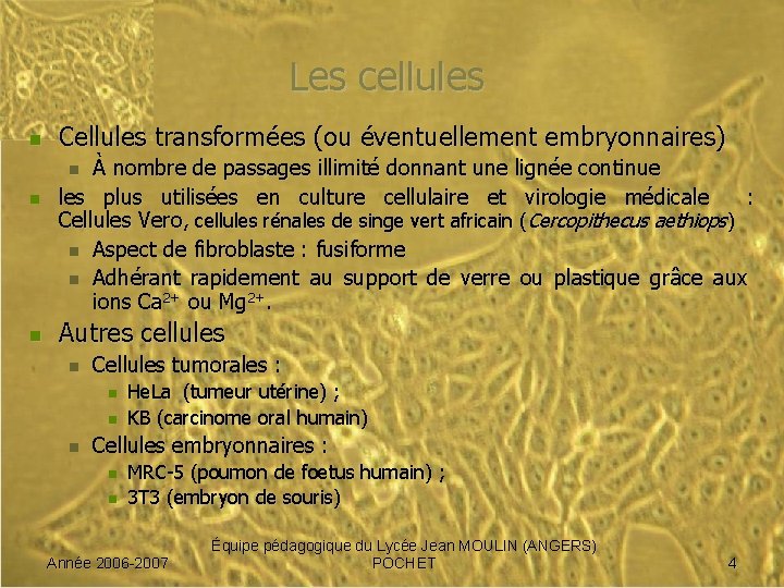 Les cellules n Cellules transformées (ou éventuellement embryonnaires) À nombre de passages illimité donnant