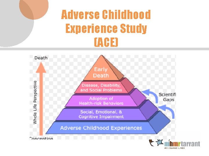 Adverse Childhood Experience Study (ACE) 