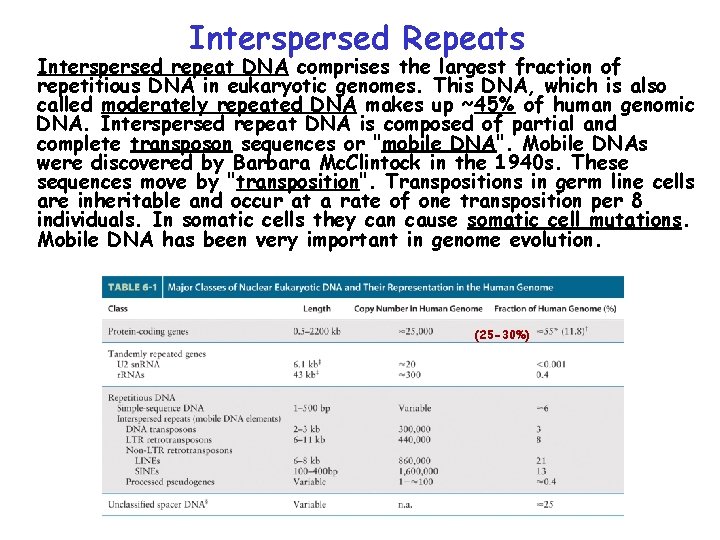 Interspersed Repeats Interspersed repeat DNA comprises the largest fraction of repetitious DNA in eukaryotic Interspersed Repeats Interspersed repeat DNA comprises the largest fraction of repetitious DNA in eukaryotic