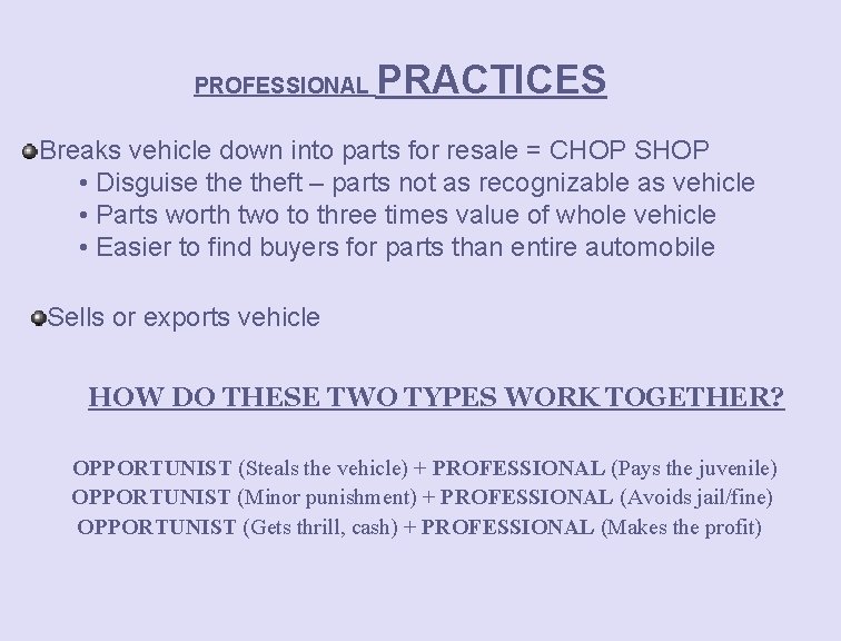 PROFESSIONAL PRACTICES Breaks vehicle down into parts for resale = CHOP SHOP • Disguise