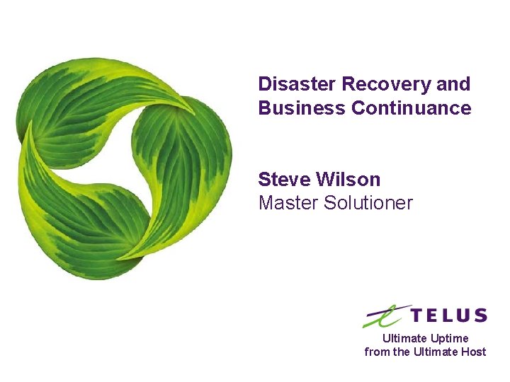 Disaster Recovery and Business Continuance Steve Wilson Master Solutioner Ultimate Uptime from the Ultimate