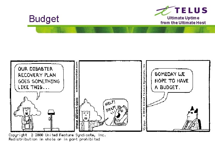 Budget Ultimate Uptime from the Ultimate Host 