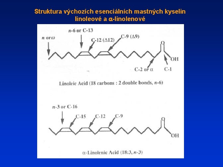 Struktura výchozích esenciálních mastných kyselin linoleové a a-linolenové 