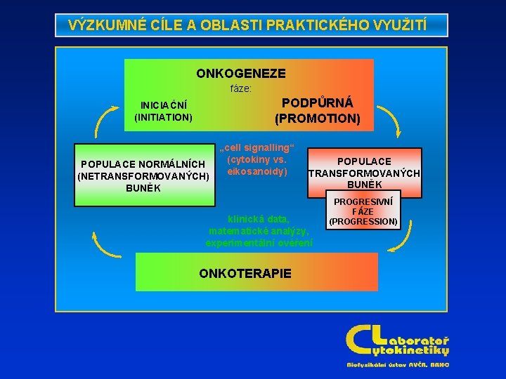 VÝZKUMNÉ CÍLE A OBLASTI PRAKTICKÉHO VYUŽITÍ ONKOGENEZE fáze: PODPŮRNÁ (PROMOTION) INICIAČNÍ (INITIATION) POPULACE NORMÁLNÍCH