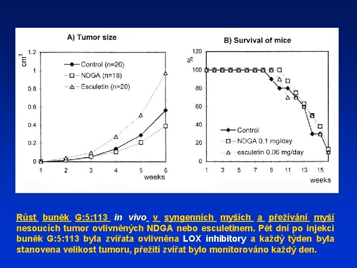 Růst buněk G: 5: 113 in vivo v syngenních myších a přežívání myší nesoucích