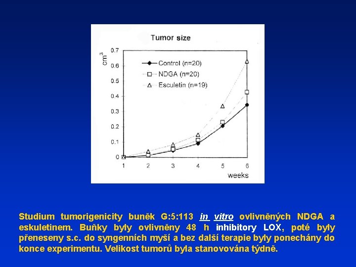 Studium tumorigenicity buněk G: 5: 113 in vitro ovlivněných NDGA a eskuletinem. Buňky byly