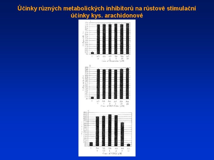 Účinky různých metabolických inhibitorů na růstově stimulační účinky kys. arachidonové 