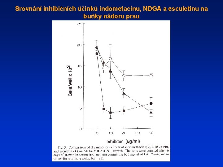 Srovnání inhibičních účinků indometacinu, NDGA a esculetinu na buňky nádoru prsu 
