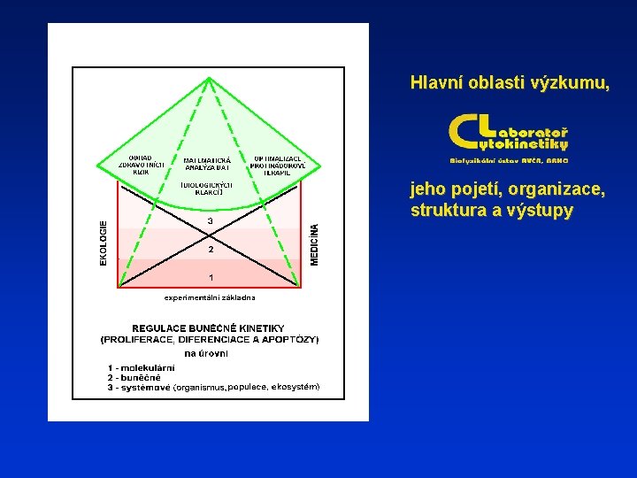 Hlavní oblasti výzkumu, jeho pojetí, organizace, struktura a výstupy 