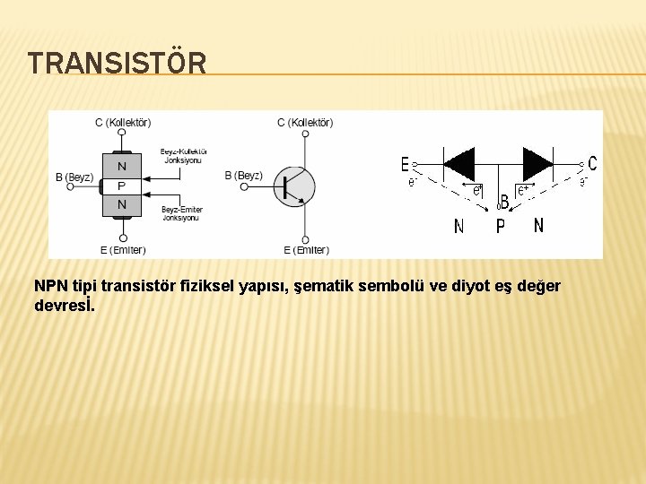 TRANSISTÖR NPN tipi transistör fiziksel yapısı, şematik sembolü ve diyot eş değer devresİ. 