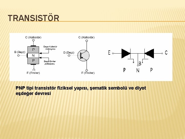 TRANSISTÖR PNP tipi transistör fiziksel yapısı, şematik sembolü ve diyot eşdeğer devresi 