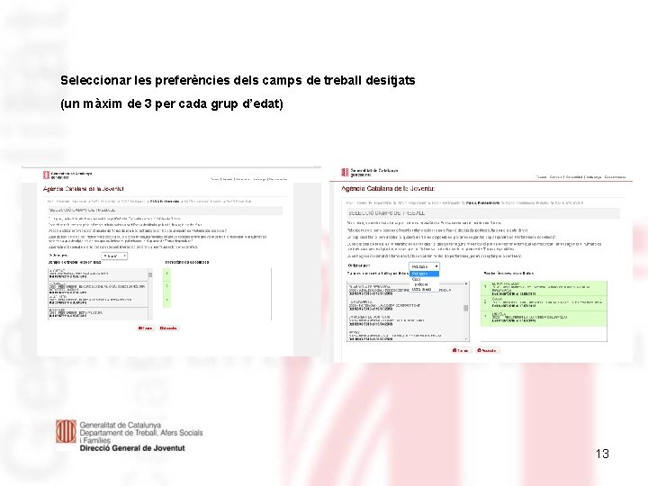 Seleccionar les preferències dels camps de treball desitjats (un màxim de 3 per cada