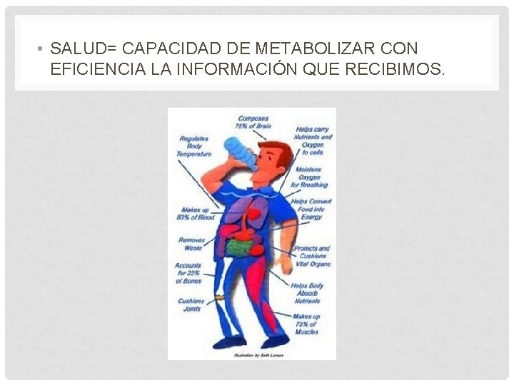 • SALUD= CAPACIDAD DE METABOLIZAR CON EFICIENCIA LA INFORMACIÓN QUE RECIBIMOS. • SALUD= CAPACIDAD DE METABOLIZAR CON EFICIENCIA LA INFORMACIÓN QUE RECIBIMOS.